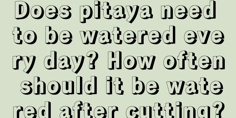 Does pitaya need to be watered every day? How often should it be watered after cutting?