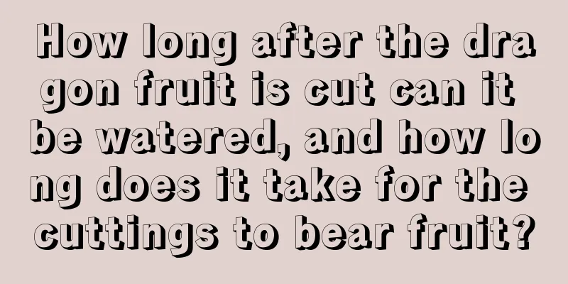 How long after the dragon fruit is cut can it be watered, and how long does it take for the cuttings to bear fruit?