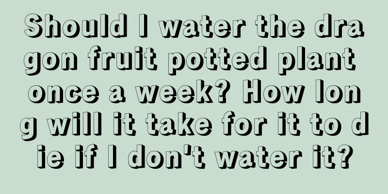 Should I water the dragon fruit potted plant once a week? How long will it take for it to die if I don't water it?