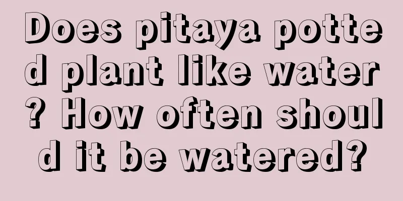 Does pitaya potted plant like water? How often should it be watered?