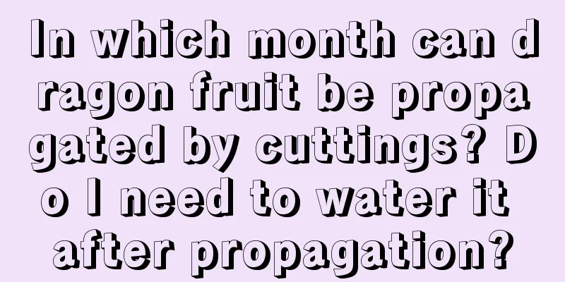 In which month can dragon fruit be propagated by cuttings? Do I need to water it after propagation?