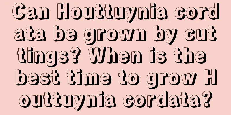 Can Houttuynia cordata be grown by cuttings? When is the best time to grow Houttuynia cordata?