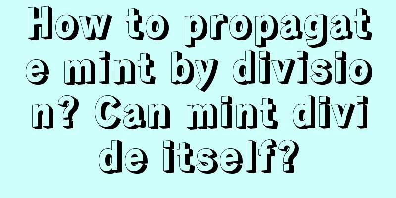 How to propagate mint by division? Can mint divide itself?