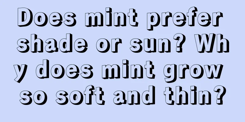 Does mint prefer shade or sun? Why does mint grow so soft and thin?