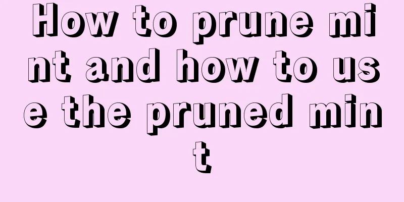 How to prune mint and how to use the pruned mint