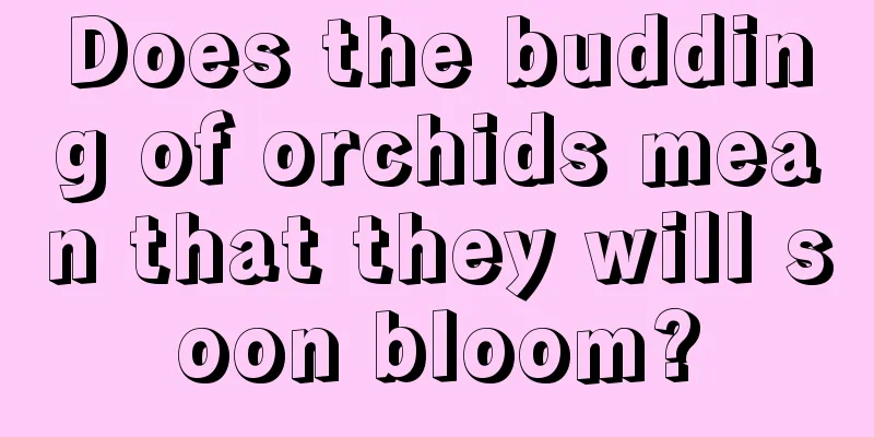 Does the budding of orchids mean that they will soon bloom?