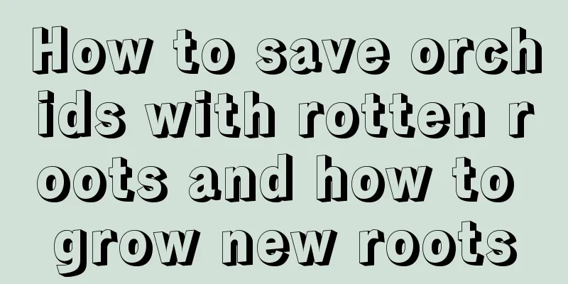 How to save orchids with rotten roots and how to grow new roots