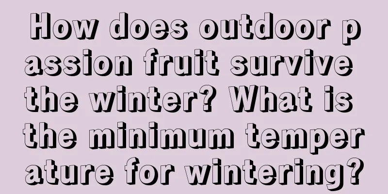 How does outdoor passion fruit survive the winter? What is the minimum temperature for wintering?