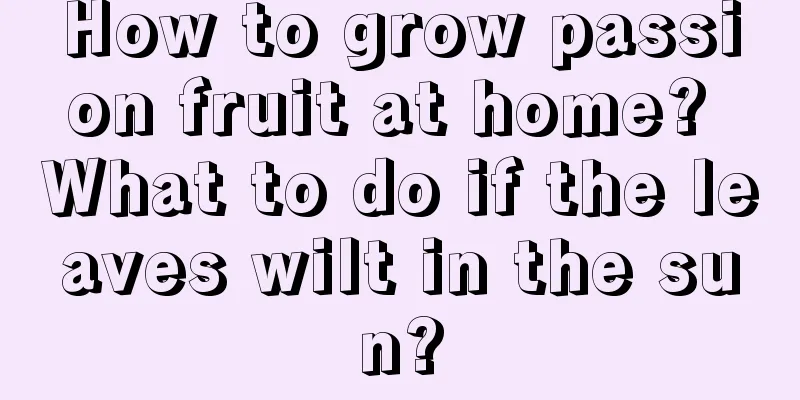 How to grow passion fruit at home? What to do if the leaves wilt in the sun?