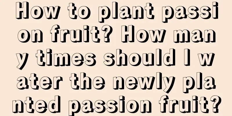 How to plant passion fruit? How many times should I water the newly planted passion fruit?