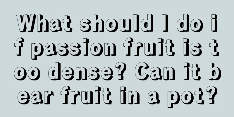 What should I do if passion fruit is too dense? Can it bear fruit in a pot?