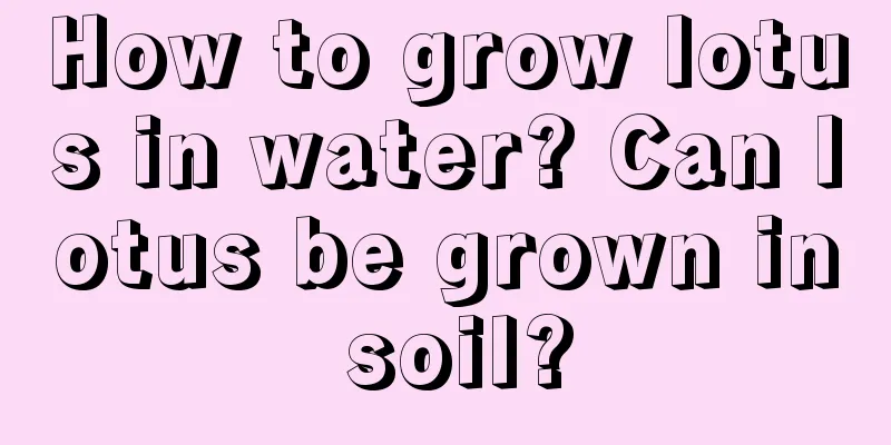 How to grow lotus in water? Can lotus be grown in soil?