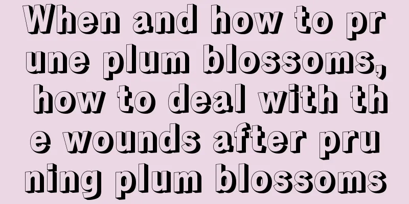 When and how to prune plum blossoms, how to deal with the wounds after pruning plum blossoms