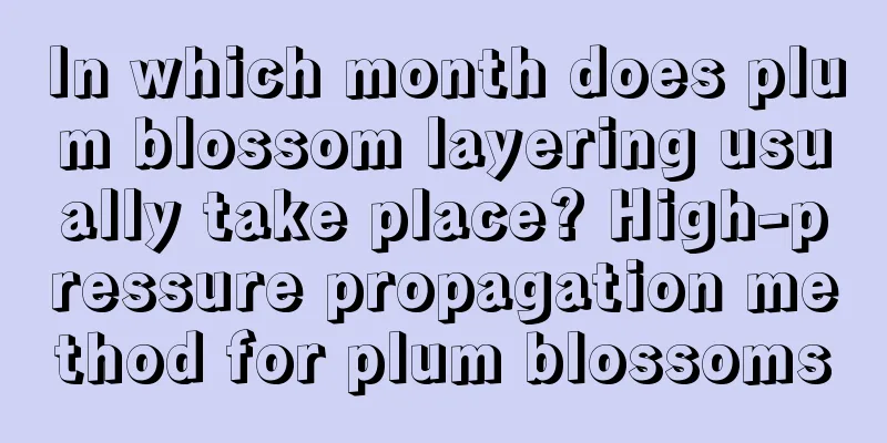 In which month does plum blossom layering usually take place? High-pressure propagation method for plum blossoms