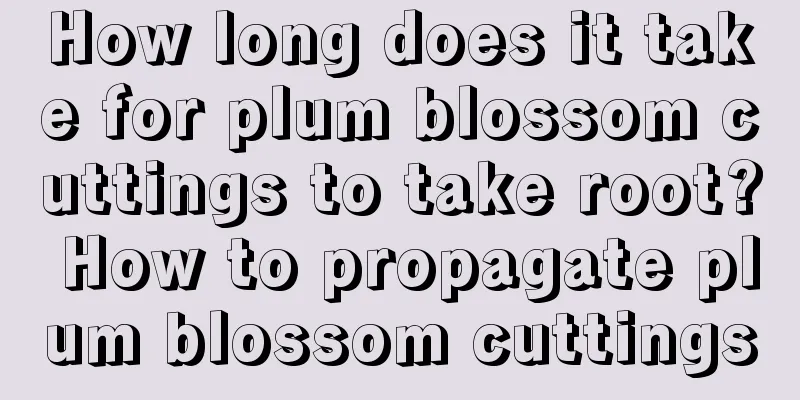 How long does it take for plum blossom cuttings to take root? How to propagate plum blossom cuttings