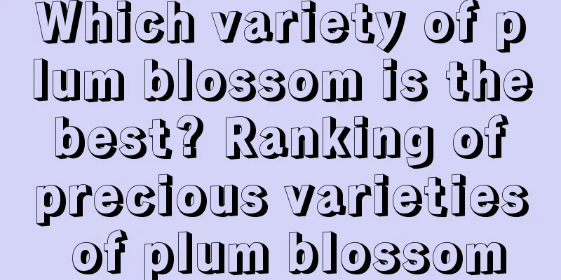 Which variety of plum blossom is the best? Ranking of precious varieties of plum blossom