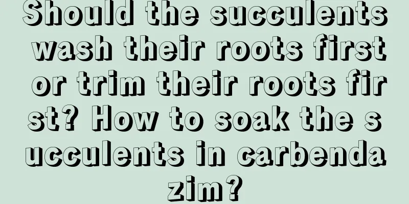 Should the succulents wash their roots first or trim their roots first? How to soak the succulents in carbendazim?