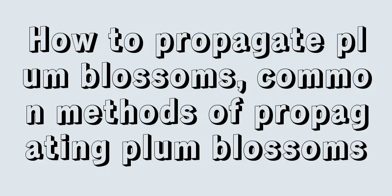 How to propagate plum blossoms, common methods of propagating plum blossoms