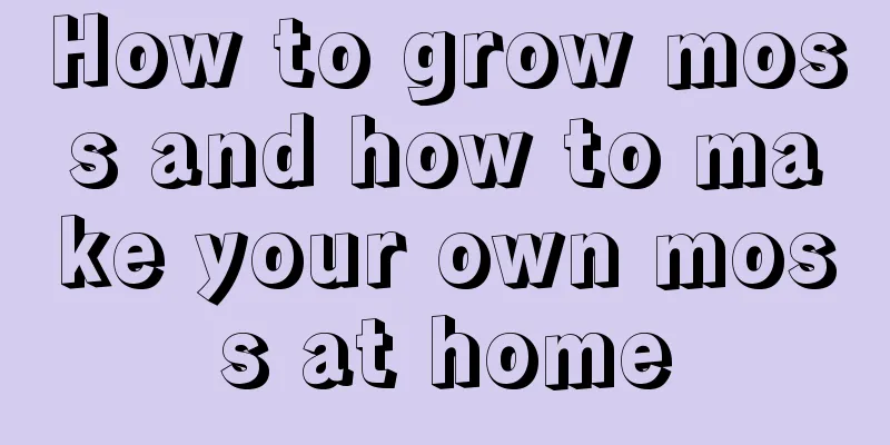 How to grow moss and how to make your own moss at home