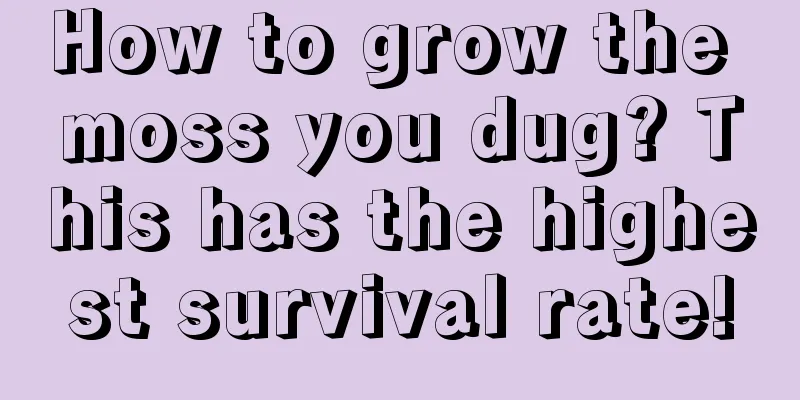 How to grow the moss you dug? This has the highest survival rate!