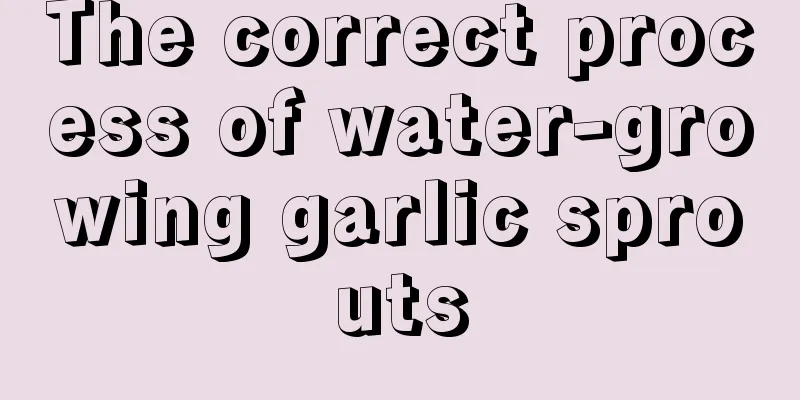 The correct process of water-growing garlic sprouts