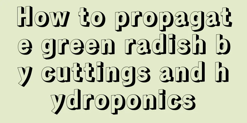 How to propagate green radish by cuttings and hydroponics