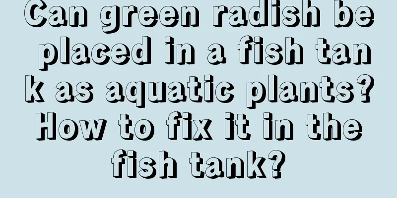 Can green radish be placed in a fish tank as aquatic plants? How to fix it in the fish tank?