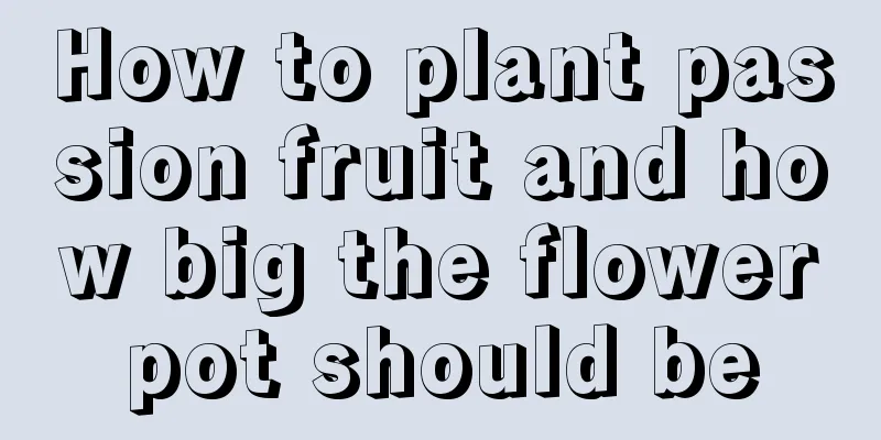 How to plant passion fruit and how big the flowerpot should be