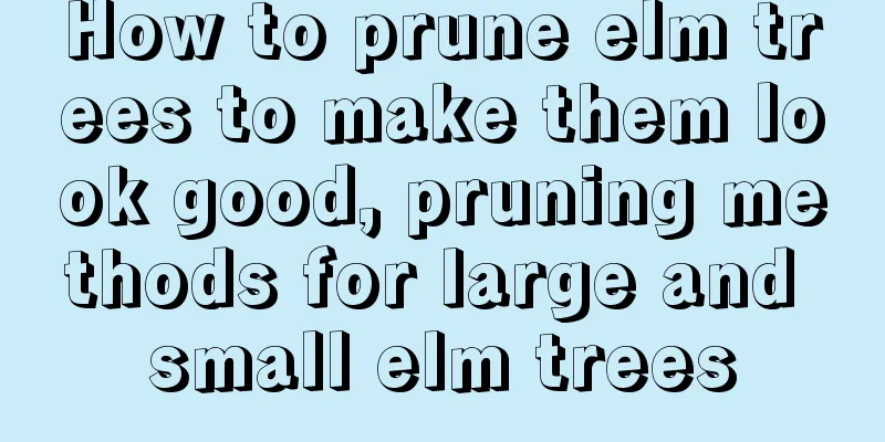 How to prune elm trees to make them look good, pruning methods for large and small elm trees