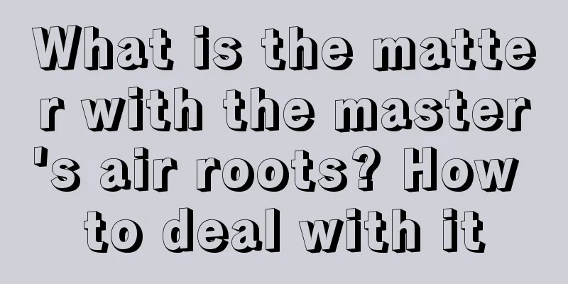 What is the matter with the master's air roots? How to deal with it