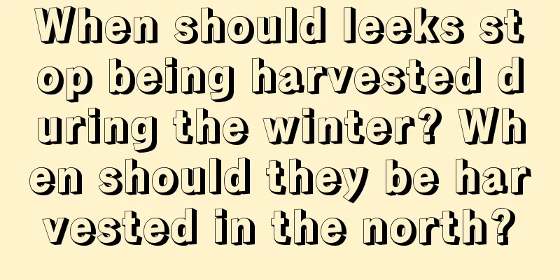 When should leeks stop being harvested during the winter? When should they be harvested in the north?