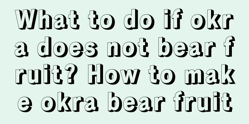 What to do if okra does not bear fruit? How to make okra bear fruit