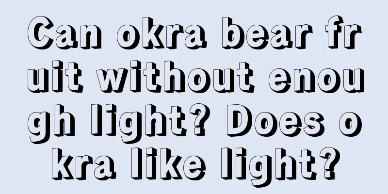 Can okra bear fruit without enough light? Does okra like light?