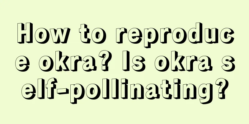 How to reproduce okra? Is okra self-pollinating?