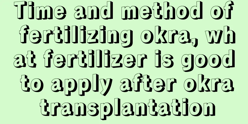 Time and method of fertilizing okra, what fertilizer is good to apply after okra transplantation