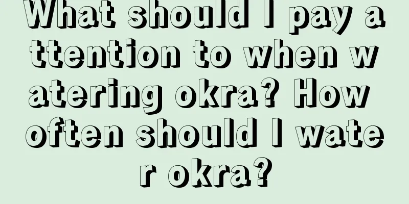 What should I pay attention to when watering okra? How often should I water okra?