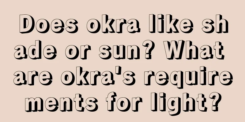 Does okra like shade or sun? What are okra's requirements for light?