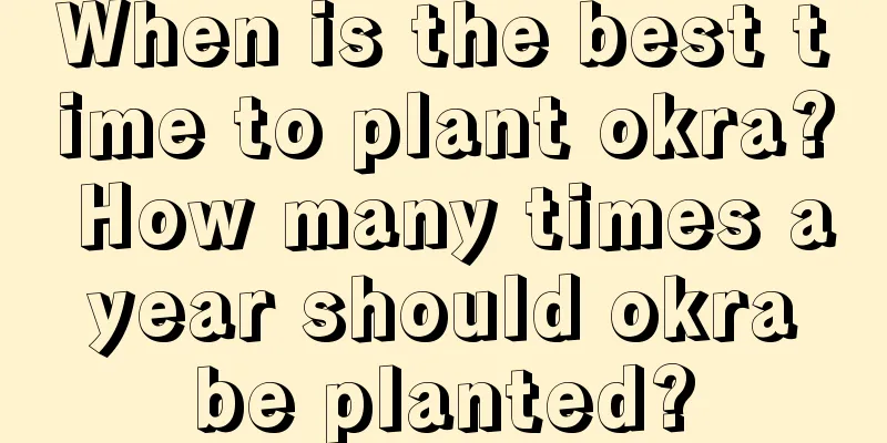 When is the best time to plant okra? How many times a year should okra be planted?