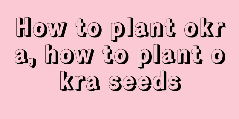 How to plant okra, how to plant okra seeds