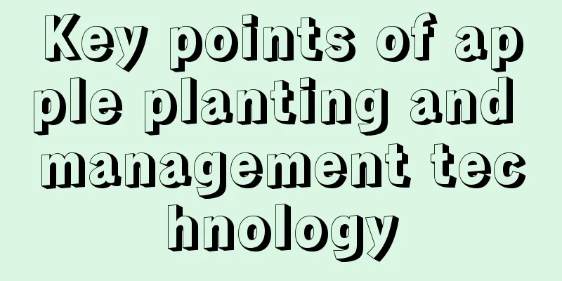 Key points of apple planting and management technology