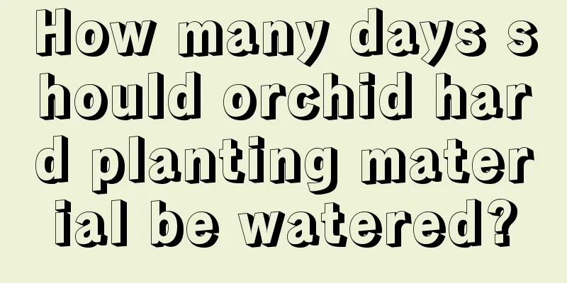 How many days should orchid hard planting material be watered?