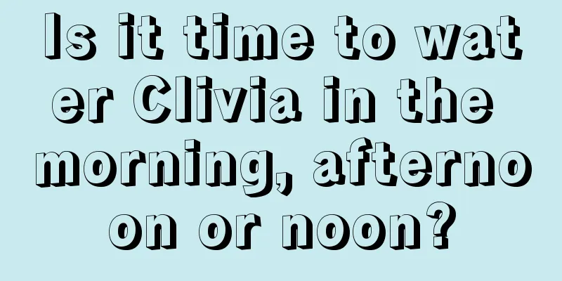 Is it time to water Clivia in the morning, afternoon or noon?