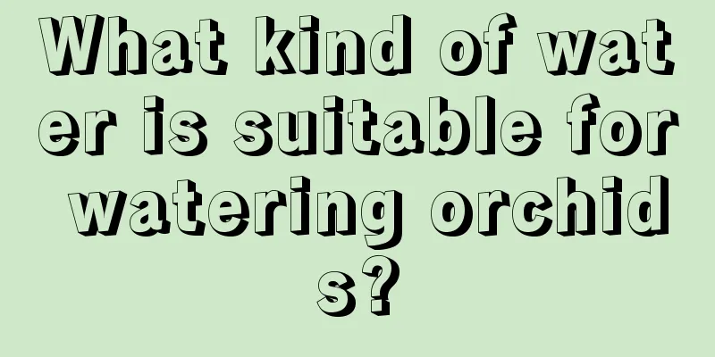 What kind of water is suitable for watering orchids?