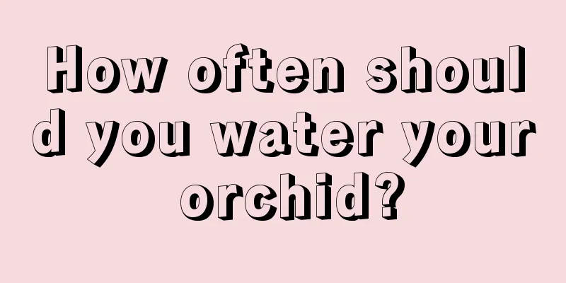 How often should you water your orchid?