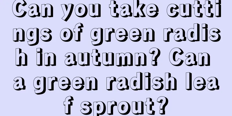 Can you take cuttings of green radish in autumn? Can a green radish leaf sprout?