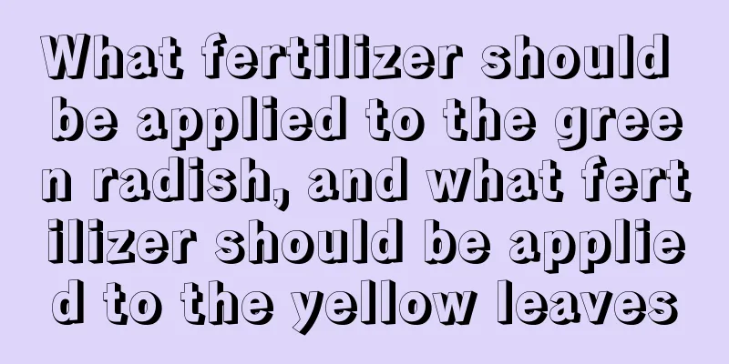 What fertilizer should be applied to the green radish, and what fertilizer should be applied to the yellow leaves