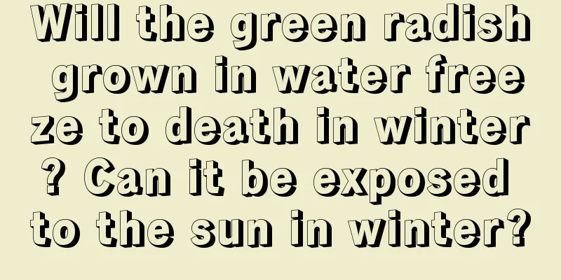 Will the green radish grown in water freeze to death in winter? Can it be exposed to the sun in winter?