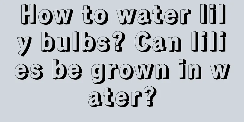 How to water lily bulbs? Can lilies be grown in water?