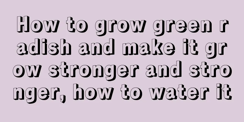 How to grow green radish and make it grow stronger and stronger, how to water it