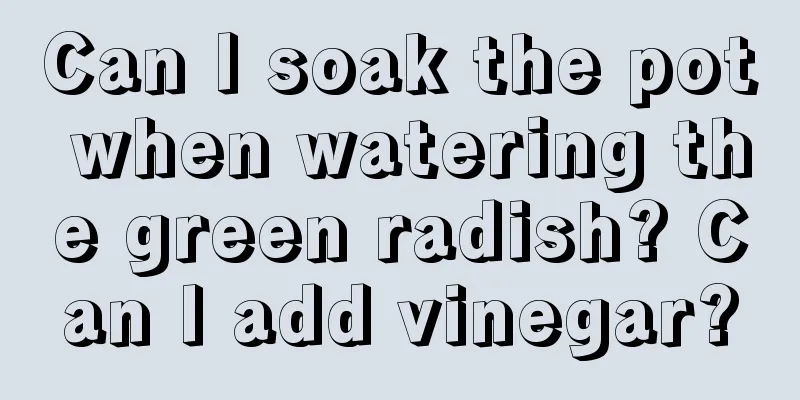 Can I soak the pot when watering the green radish? Can I add vinegar?